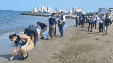 Grupo Interinstitucional garantiza el control de la contaminación por hidrocarburos en el Golfo de México; reporta playas limpias en el litoral