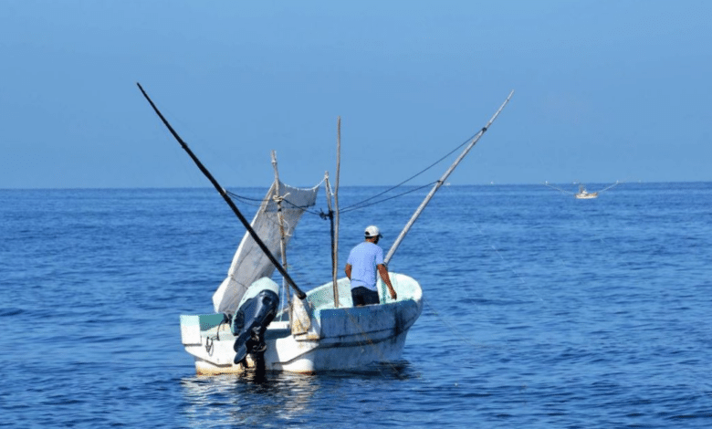 Reportan presencia de crudo en costas de Campeche