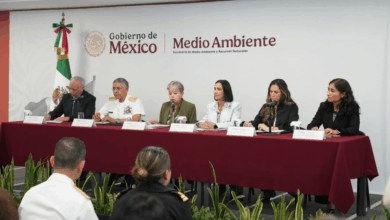 Un buque y dos chapopoteras naturales, la causa de la emanación de hidrocarburos en Veracruz y Tabasco GI