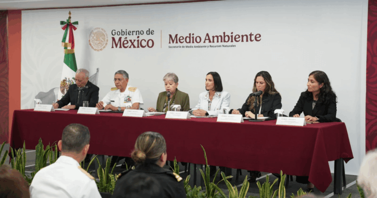 Derrame de petróleo no afectó playas, flora ni fauna