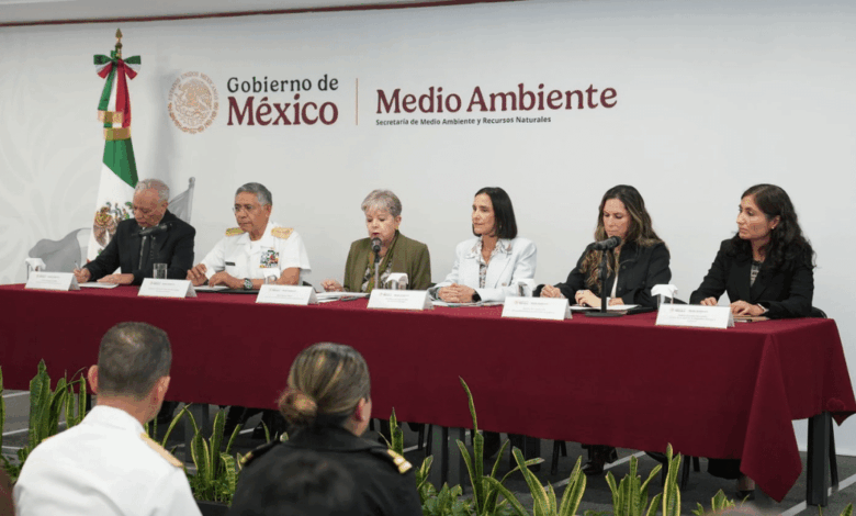 Un buque y dos chapopoteras naturales, la causa de la emanación de hidrocarburos en Veracruz y Tabasco GI