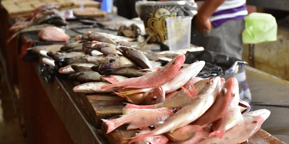 Ventas de pescado caen un 50% en Campeche