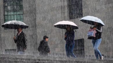 Clima hoy: Lluvias puntuales fuertes en Chiapas y Tabasco, así cómo estos estados (Foto de internet)