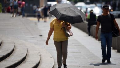 Clima hoy: comienzan las altas temperaturas en estos estados (Foto de internet)
