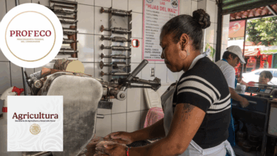 AGRICULTURA y PROFECO descartan alzas al precio de la tortilla y llaman a no atender versiones falsas sobre costos del maíz y la harina