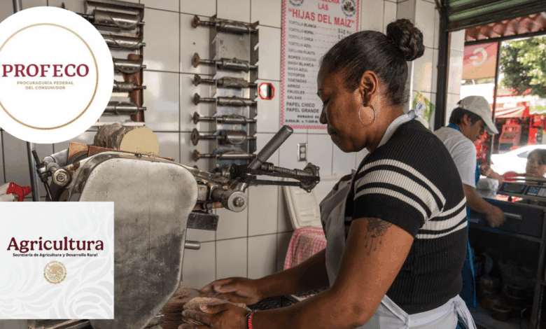 AGRICULTURA y PROFECO descartan alzas al precio de la tortilla y llaman a no atender versiones falsas sobre costos del maíz y la harina