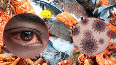 ¿Qué es el virus que está poniendo en riesgo a animales en China? Nodavirus (Fotos de internet)