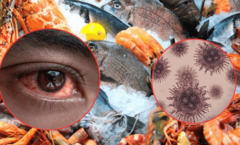 ¿Qué es el virus que está poniendo en riesgo a animales en China? Nodavirus (Fotos de internet)