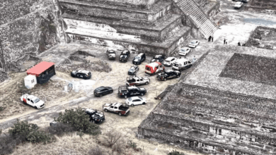 Ataque en Zona Arqueológica de Teotihuacán (Foto de internet)