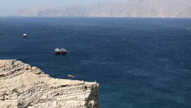 Países coordinan acciones para evitar crisis en el estrecho de Ormuz