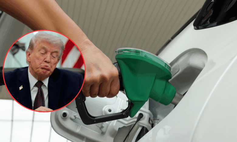 Petróleo sube más de 4% tras tensión por declaraciones de Donald Trump sobre Irán