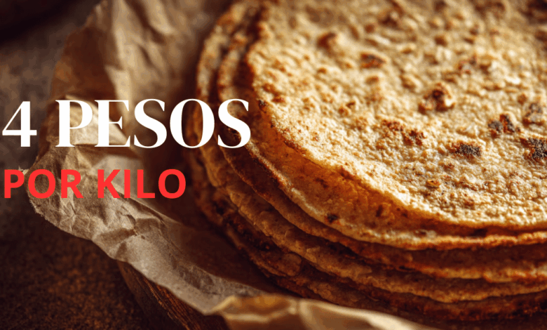 Precio de la tortilla podría subir hasta 4 pesos por kilo en abril por alza en insumos