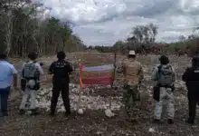 profepa clausura zona protegida de calakmul por deforestación
