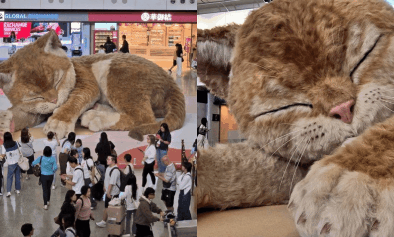 VIDEO “A Moment to Purr” la escultura gigante “Catzilla” que se mueve sorprende en el aeropuerto de Hong Kong