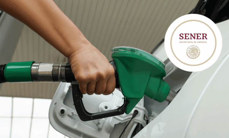 Convocatoria dirigida a las y los empresarios del sector gasolinero