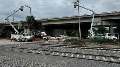 Trabajos de la CFE para el Tren Felipe Ángeles (Foto de cortesía)
