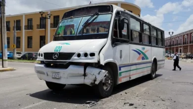 exhiben a cooperativa de campeche que rechazó al ko’ox