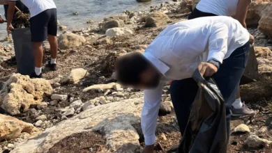 limpieza de playas en campeche semar y semabicce combaten el sargazo