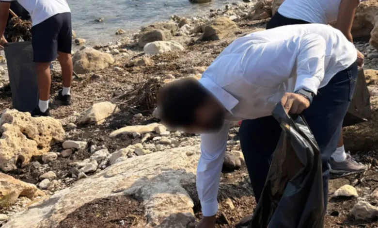 limpieza de playas en campeche semar y semabicce combaten el sargazo