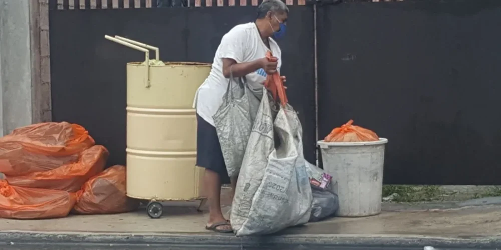 pepenación el último refugio ante el desempleo y el abandono en campeche
