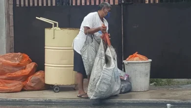 pepenación el último refugio ante el desempleo y el abandono en campeche