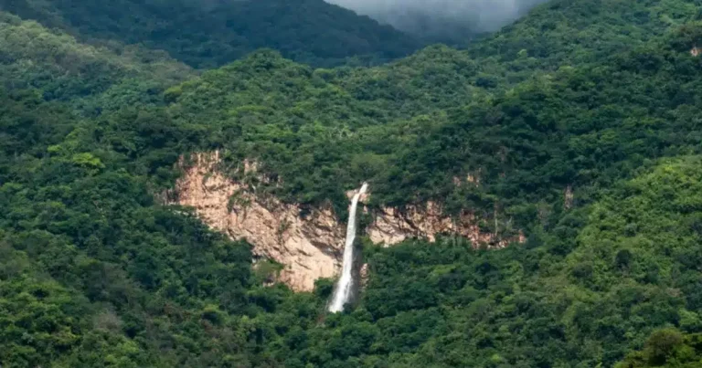 cascada del mixcuate, el paraíso natural con la caída de agua más alta de colima