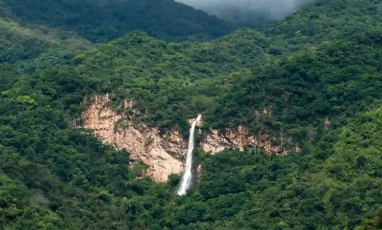 cascada del mixcuate, el paraíso natural con la caída de agua más alta de colima