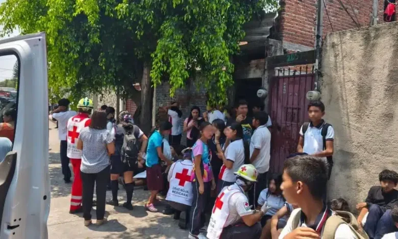 cuautla morelos abejas atacan a 100 personas en telesecundaria