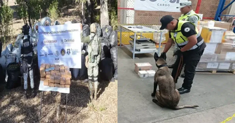 Gabinete de Seguridad del Gobierno de México informa acciones relevantes del 22, 23 y 24 de mayo de 2026 (Foto de cortesía)
