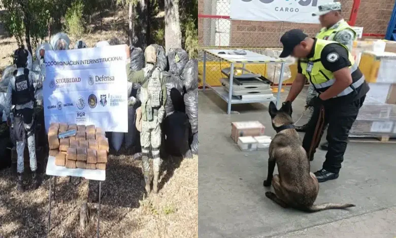 Gabinete de Seguridad del Gobierno de México informa acciones relevantes del 22, 23 y 24 de mayo de 2026 (Foto de cortesía)