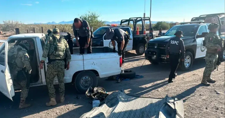 gabinete de seguridad reporta detenciones y aseguramientos en 11 estados del país