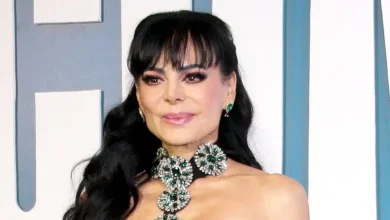 maribel guardia modifica su testamento tras disputa legal por la tutela de su nieto