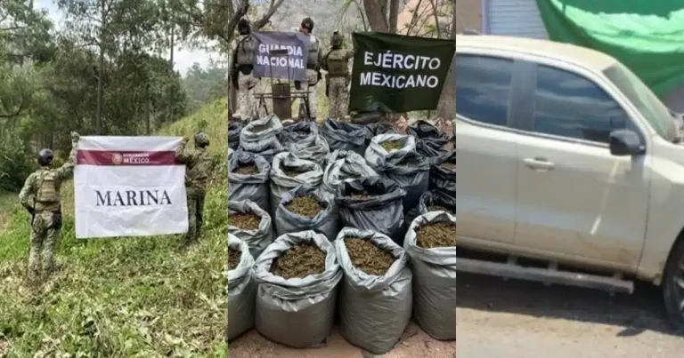 operativos del gabinete de seguridad dejan detenidos, armas y droga asegurada en siete estados