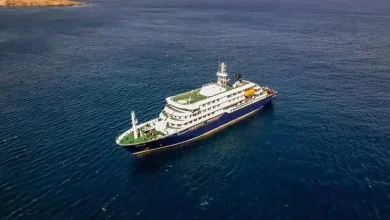 Pasajero de crucero MV Hondius da positivo a hantavirus sin presentar síntomas