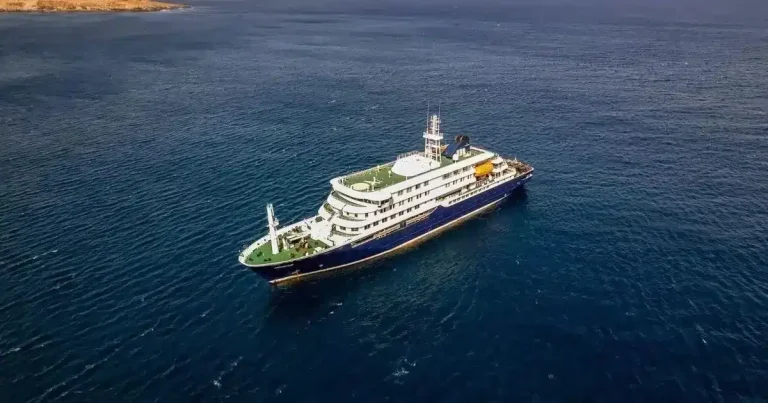 Pasajero de crucero MV Hondius da positivo a hantavirus sin presentar síntomas
