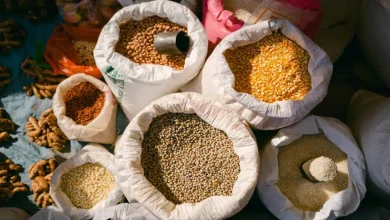 suben precios de alimentos elaborados con granos procesados en méxico