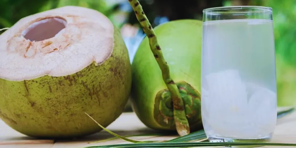 calor impulsa venta de agua de coco en champotón