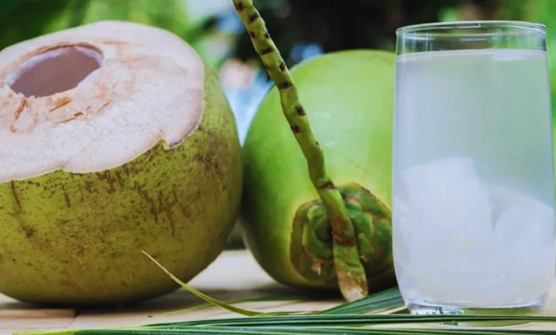 calor impulsa venta de agua de coco en champotón