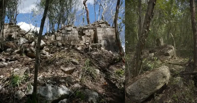 descubren ciudad maya minanbé en selva de campeche