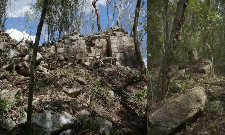 descubren ciudad maya minanbé en selva de campeche
