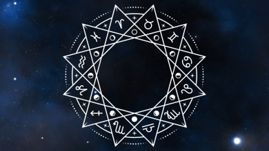 Introducción a la astrología cuáles son las casas astrológicas