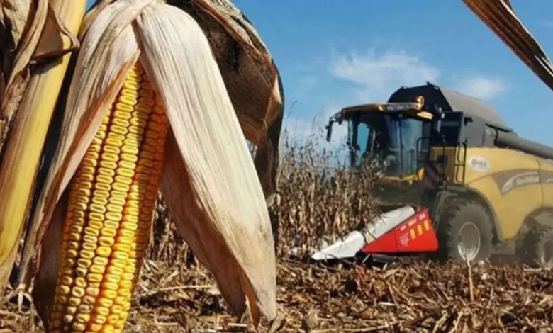 Fertilizantes lideran el aumento de precios en mercados internacionales: Banco Mundial