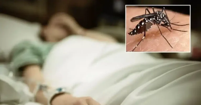 dengue en méxico reportan 4 fallecimientos y más de 2,000 casos en los primeros cinco meses de 2026