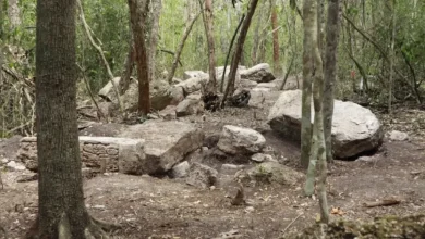 descubren minanbé, una ciudad maya intacta oculta durante más de mil años en la selva de campeche