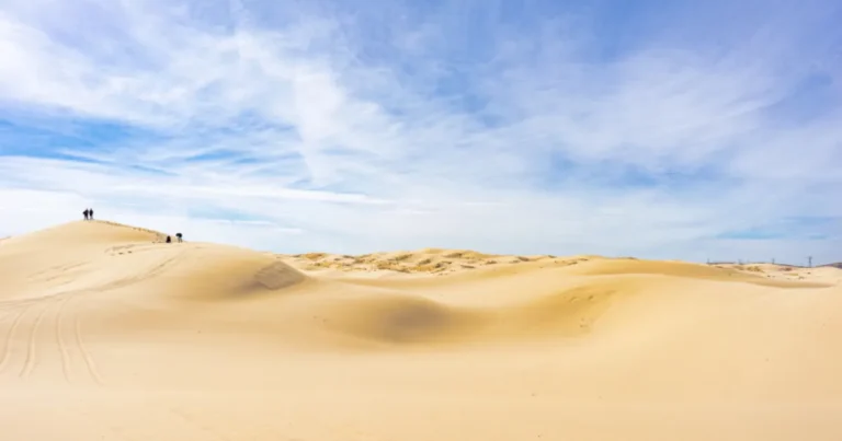 dunas de samalayuca el tesoro natural y arqueológico que sorprende en el desierto de chihuahua