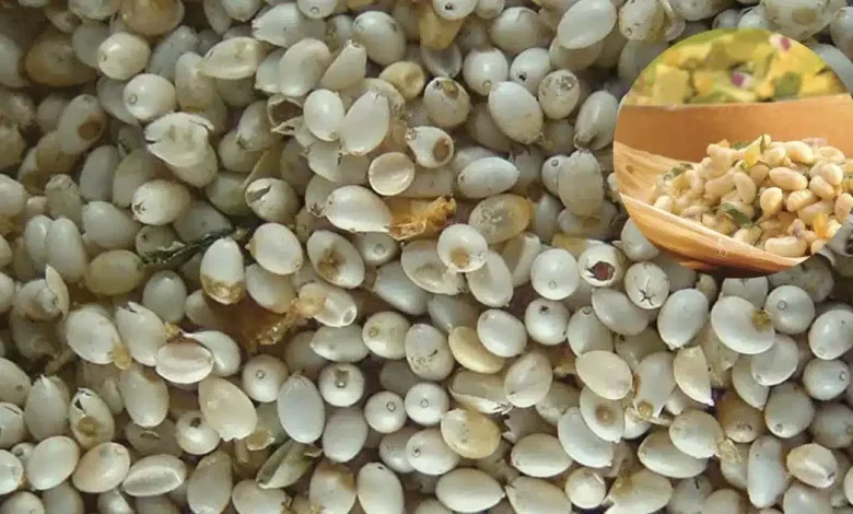 El caviar prehispánico de los emperadores que enfrenta la extinción en el país (Fotos por Asociación Mexicana de Restaurantes y México Desconocido)