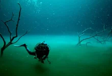 El misterioso río submarino que fluye en las profundidades del cenote Angelita (Foto por Gluup)