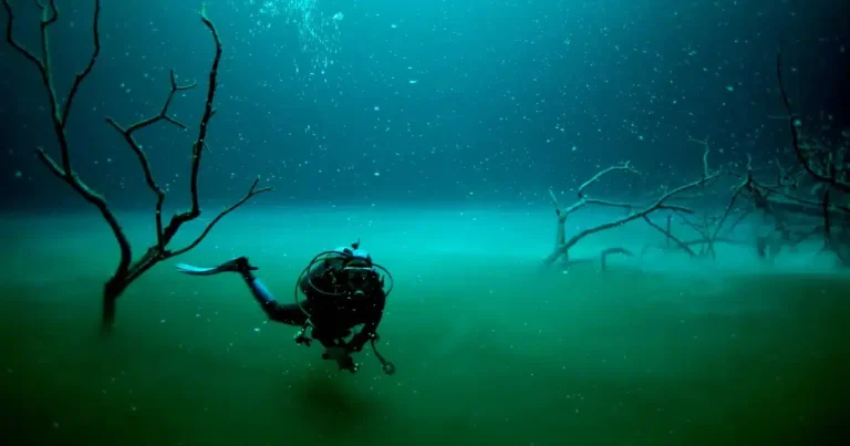 El misterioso río submarino que fluye en las profundidades del cenote Angelita (Foto por Gluup)