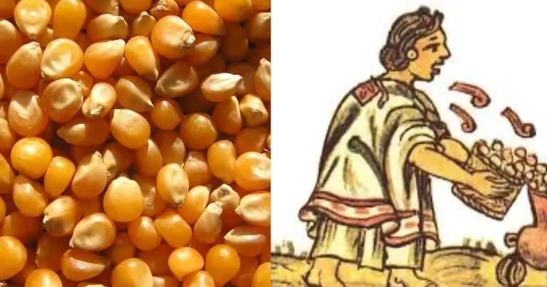 El momochitl el origen ceremonial de las palomitas de maíz en la época prehispánica (Fotos Redes Sociales)