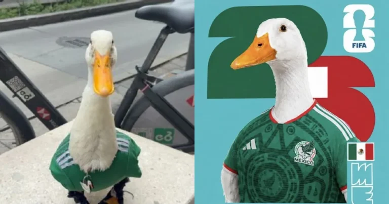 Patito futbolista Merlín conquista a los aficionados del Mundial 2026 (Fotos de cortesía)